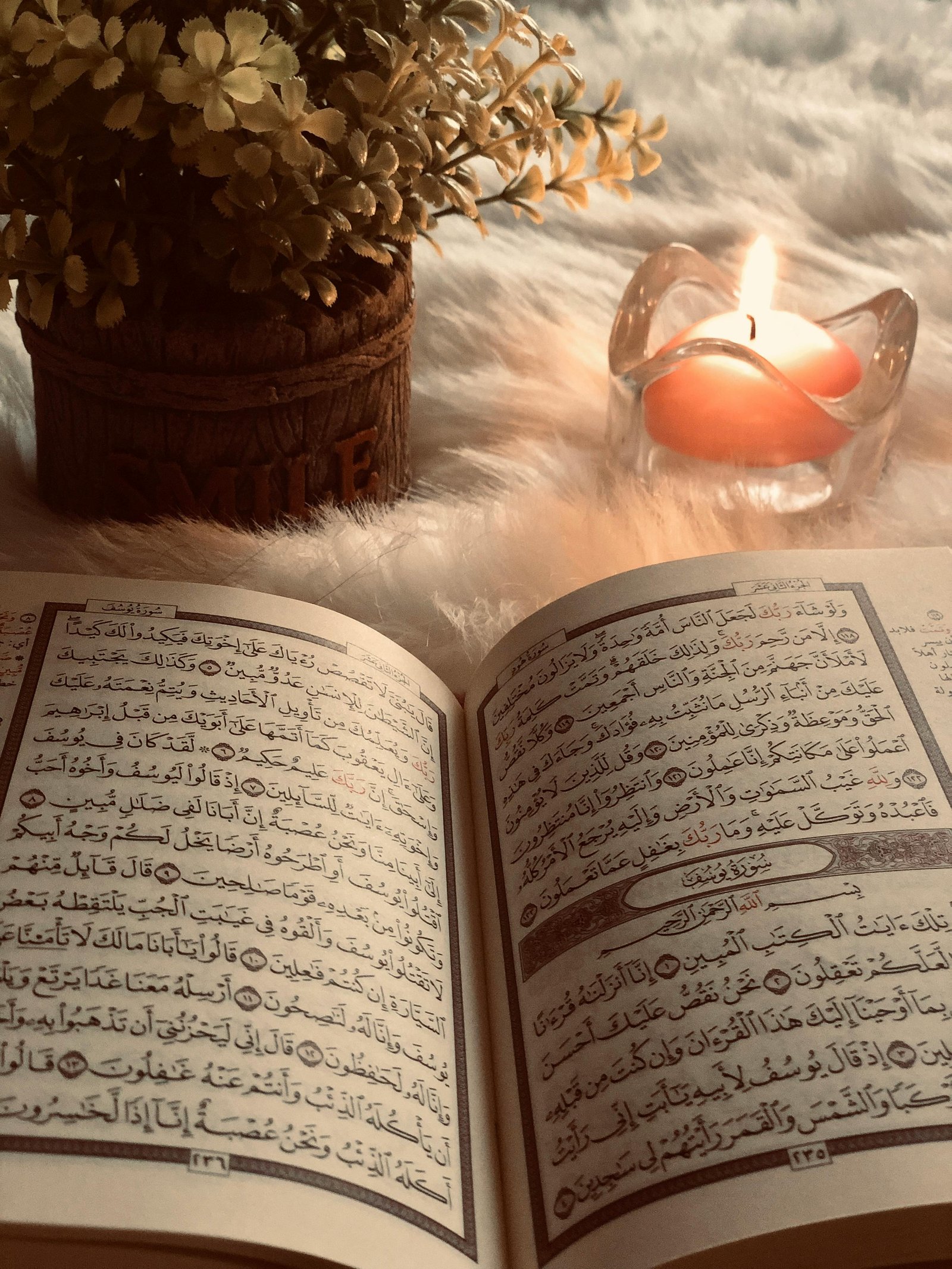 Quran learning